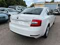 Skoda Octavia 2x Octavia 2019 *Limo*1.6 TDI*Navigation* Weiß - thumbnail 8
