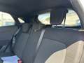 Ford Puma 1.0 EcoBoost Hybrid 125 CV S&S ST-Line Bianco - thumbnail 18