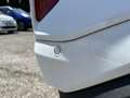 Ford Puma 1.0 EcoBoost Hybrid 125 CV S&S ST-Line Bianco - thumbnail 11