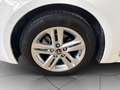 Toyota Corolla 1.8h Business cvt Bianco - thumbnail 5