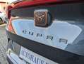 CUPRA Formentor 2,0 TSI 4Drive DSG Grau - thumbnail 7