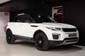 Land Rover Range Rover Evoque 2.0TD4 SE 4WD Aut. 150 - thumbnail 8