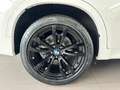 BMW X6 XDRIVE - M SPORT - HARMAN KARDON - APPLE CAR PLAY Blanco - thumbnail 17