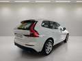 Volvo XC60 2.0 B4 D Momentum Auto Blanco - thumbnail 6