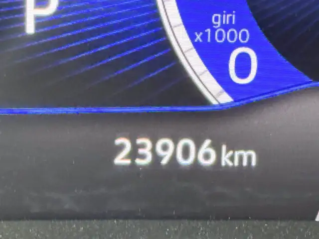 Volkswagen Polo view 23