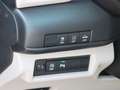 Suzuki Swift 5-Türer Comfort+ 1.2 Dualjet Hybrid/ Kamera + ACC Blau - thumbnail 14