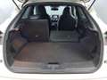 Nissan Juke -32% 1.0 DIGT 114cv+MIRRORLINK+CAM+LED+Options Beige - thumbnail 31