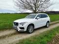 Volvo XC90 T8 Twin Engine Inscription AWD Geartronic R White - thumbnail 9
