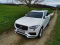 Volvo XC90 T8 Twin Engine Inscription AWD Geartronic R Weiß - thumbnail 1