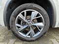 Skoda Kodiaq 1.5 TSI SPORTL. B. Grijs - thumbnail 9