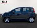 Fiat Panda 1.0 Mild Hybrid Schwarz - thumbnail 3