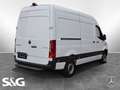 Mercedes-Benz Sprinter 317 CDI Kasten L2H2 NAVI MBUX KAMERA Weiß - thumbnail 3