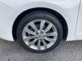 Kia Carens Carens 1.7 crdi Class 115cv 5 posti Bianco - thumbnail 14