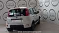 Fiat Panda 1.0 FireFly S&S Hybrid City Life PROMOZIONE CON F Weiß - thumbnail 8