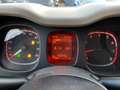 Fiat Panda 1.2 Easypower Gpl 69CV Easy Rosso - thumbnail 10