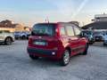 Fiat Panda 1.2 Easypower Gpl 69CV Easy Rosso - thumbnail 5
