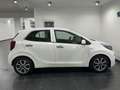 Kia Picanto Picanto 1.1i Easy Blanc - thumbnail 4