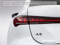 Audi A5 TDI S tronic Leder/Kamera/ACC Weiß - thumbnail 10
