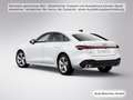 Audi A5 TDI S tronic Leder/Kamera/ACC Weiß - thumbnail 6