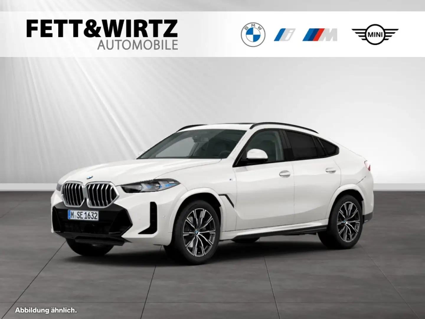 BMW X6 xDrive40d M Sport|SkyLounge|AHK|Standhzg. Blanco - 1