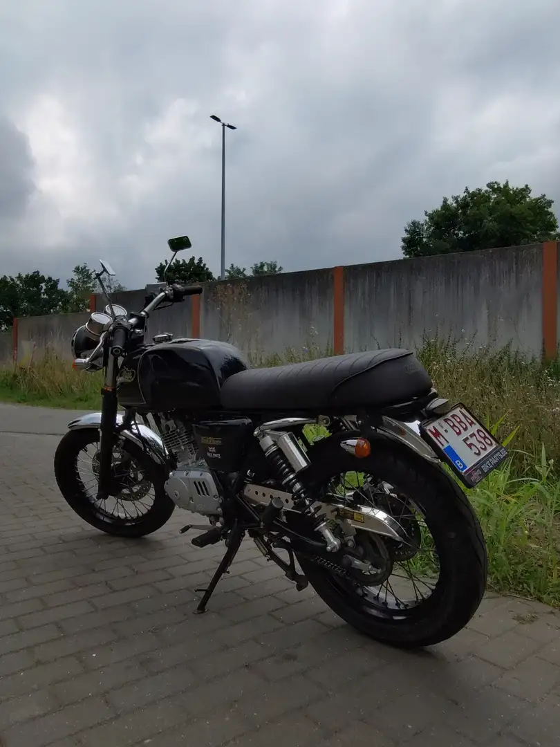 Mash Black Seven Noir - 2