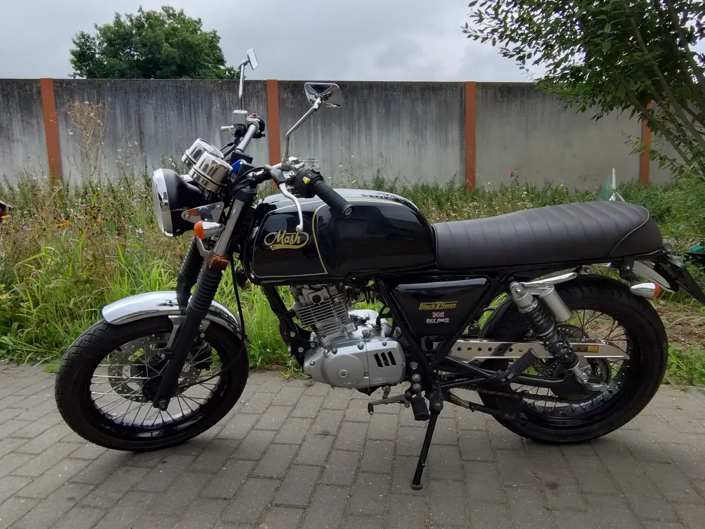 Mash Black Seven Noir - 1