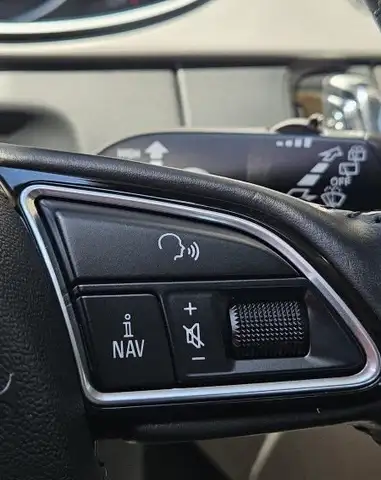 Audi A4 Allroad view 17