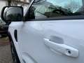 Ford Ranger Doppelkabine LKW Wildtrak 3.0l V6 Wit - thumbnail 26