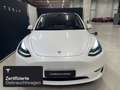 Tesla Model Y Performance Wit - thumbnail 3