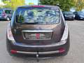 Lancia Ypsilon Ypsilon 1.4 8V Oro*AHK-EURO 4-TEMPOMAT-1.HAND-WR* Braun - thumbnail 8
