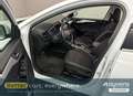 Ford Focus Turnier 1.0 EcoBoost Start-Stopp-System Aut. - thumbnail 9