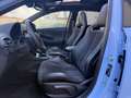 Hyundai i30 2.0 T-GDI 280 CV 5 porte DCT N Performance TETTO Blu/Azzurro - thumbnail 14