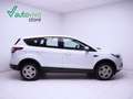 Ford Kuga 1.5 EcoBoost Trend FWD 120 Bianco - thumbnail 3
