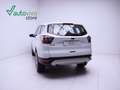 Ford Kuga 1.5 EcoBoost Trend FWD 120 Bianco - thumbnail 20