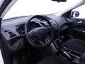 Ford Kuga 1.5 EcoBoost Trend FWD 120 Bianco - thumbnail 6