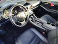 Lexus IS 300 300h Luxe Euro6d-T Grau - thumbnail 15