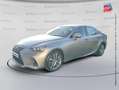 Lexus IS 300 300h Luxe Euro6d-T Grau - thumbnail 1