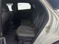 Audi Q3 Sportback 45 TFSI e S line Black SONOS Navi 360... Weiß - thumbnail 7
