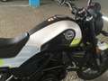 Benelli Leoncino 250 cc Wit - thumbnail 3