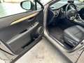 Lexus NX 300 NX * 2.5 Hybrid | 300h | Kamera | Automatik Gris - thumbnail 17