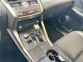 Lexus NX 300 NX * 2.5 Hybrid | 300h | Kamera | Automatik Gris - thumbnail 14