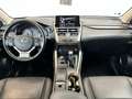 Lexus NX 300 NX * 2.5 Hybrid | 300h | Kamera | Automatik Gris - thumbnail 11