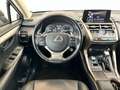 Lexus NX 300 NX * 2.5 Hybrid | 300h | Kamera | Automatik Gris - thumbnail 12
