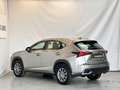 Lexus NX 300 NX * 2.5 Hybrid | 300h | Kamera | Automatik Gris - thumbnail 6