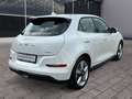 GWM ORA 03 Ora 300 Klimaaut, Fernlichtass, PDC hinten, LM, 12 Weiß - thumbnail 5