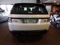 Land Rover Range Rover Sport 3.0 sdV6 HSE 306cv auto Bianco - thumbnail 5