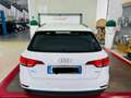Audi A4 Avant 2.0 TDI 150CV Business Weiß - thumbnail 6