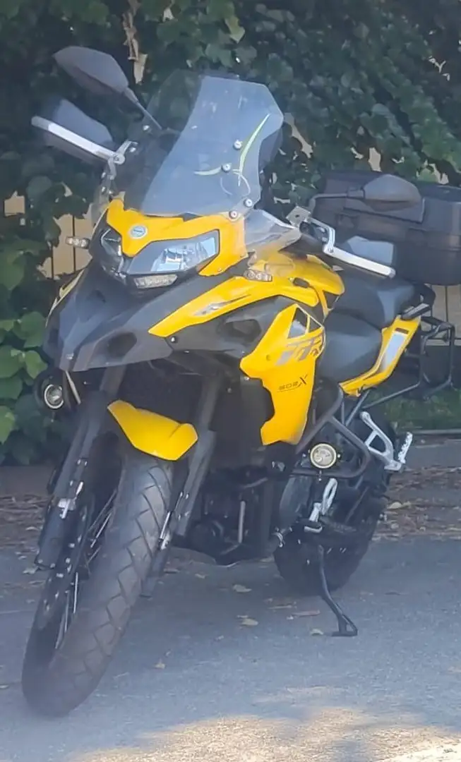 Benelli TRK 502 x Galben - 1