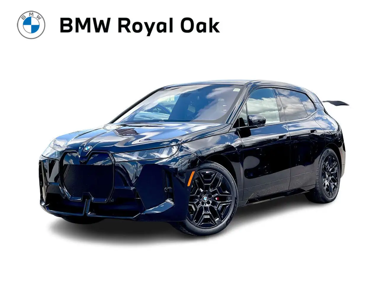 2026 BMW iX