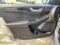 Ford Kuga Kuga 2.5 full hybrid ST-Line Design 2wd 190cv cvt Grau - thumbnail 12